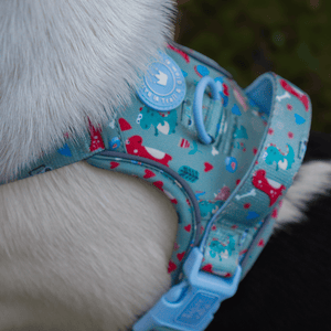 Trail & Glow Dog Harness - Colour Drops - Dino Party - Bailey and Coco (UK)