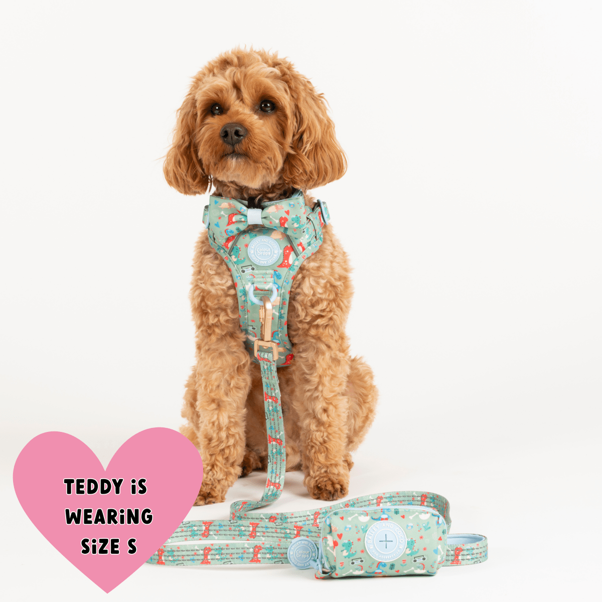 Trail & Glow Dog Harness - Colour Drops - Dino Party - Bailey and Coco (UK)