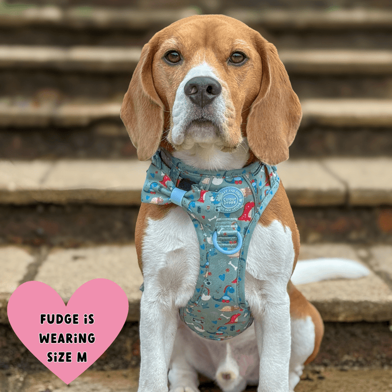 Trail & Glow Dog Harness - Colour Drops - Dino Party - Bailey and Coco (UK)