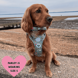 Trail & Glow Dog Harness - Colour Drops - Dino Party - Bailey and Coco (UK)