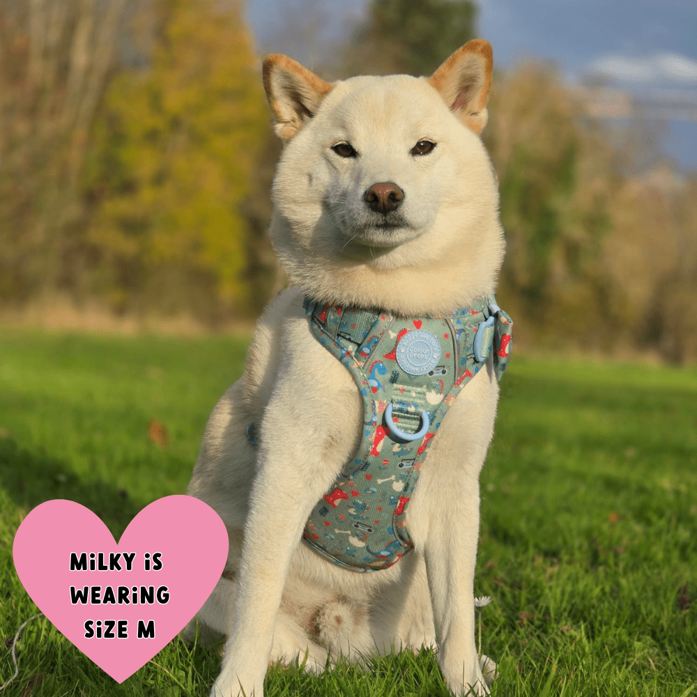 Trail & Glow Dog Harness - Colour Drops - Dino Party - Bailey and Coco (UK)