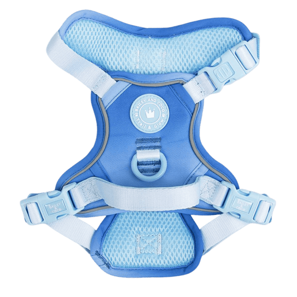Trail & Glow Dog Harness - COLOUR DROPS® - Head in the Clouds - Bailey and Coco (UK)