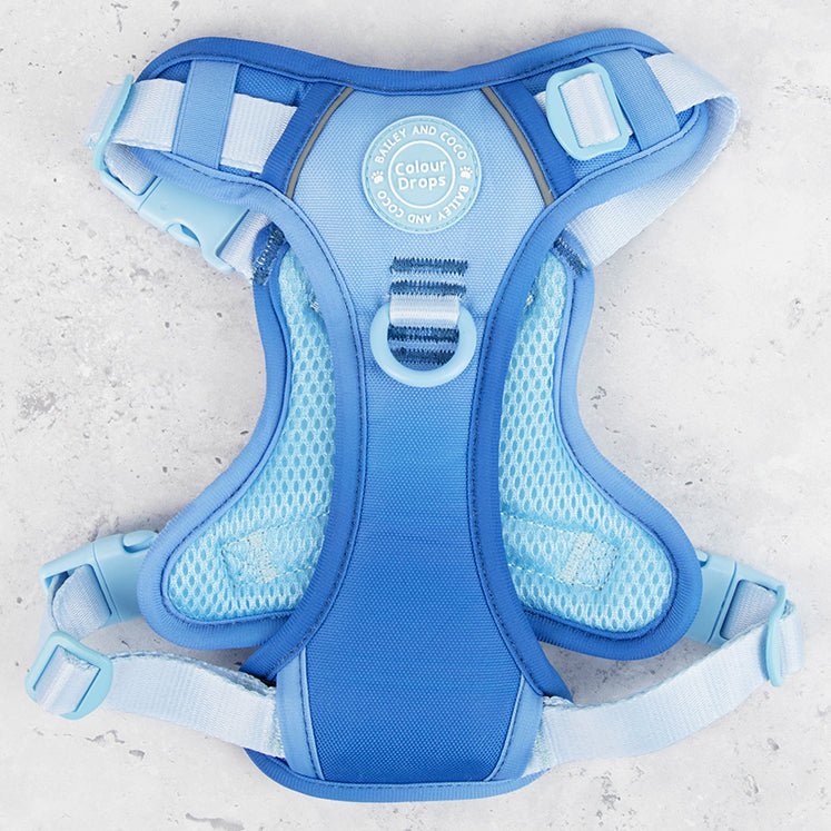 Trail & Glow Dog Harness - COLOUR DROPS® - Head in the Clouds - Bailey and Coco (UK)