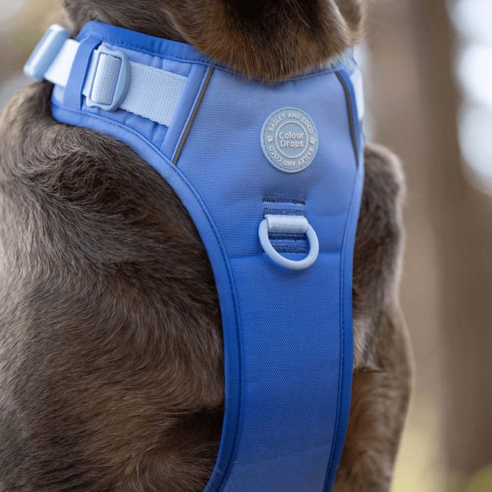 Trail & Glow Dog Harness - COLOUR DROPS® - Head in the Clouds - Bailey and Coco (UK)