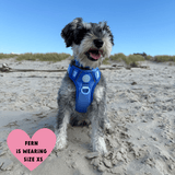 Trail & Glow Dog Harness - COLOUR DROPS® - Head in the Clouds - Bailey and Coco (UK)