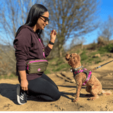 Trail & Glow Dog Harness - COLOUR DROPS® - Hot Khaki - Bailey and Coco (UK)