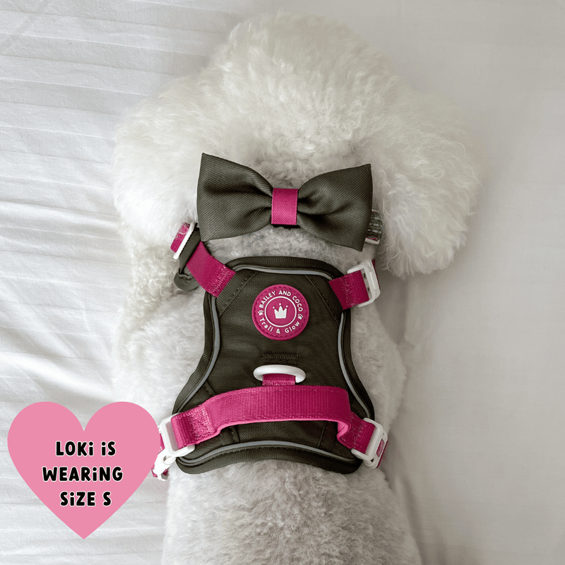 Trail & Glow Dog Harness - COLOUR DROPS® - Hot Khaki - Bailey and Coco (UK)