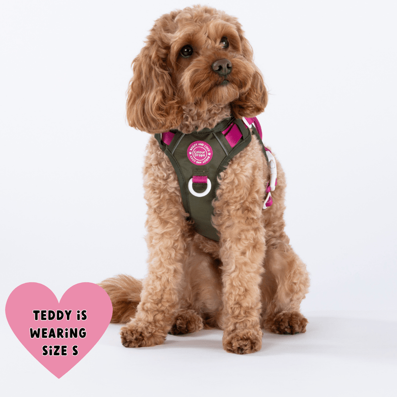 Trail & Glow Dog Harness - COLOUR DROPS® - Hot Khaki - Bailey and Coco (UK)