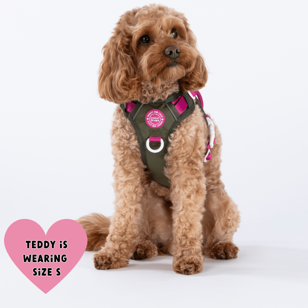 Trail & Glow Dog Harness - COLOUR DROPS® - Hot Khaki - Bailey and Coco (UK)