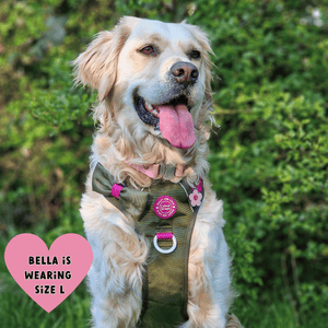 Trail & Glow Dog Harness - COLOUR DROPS® - Hot Khaki - Bailey and Coco (UK)