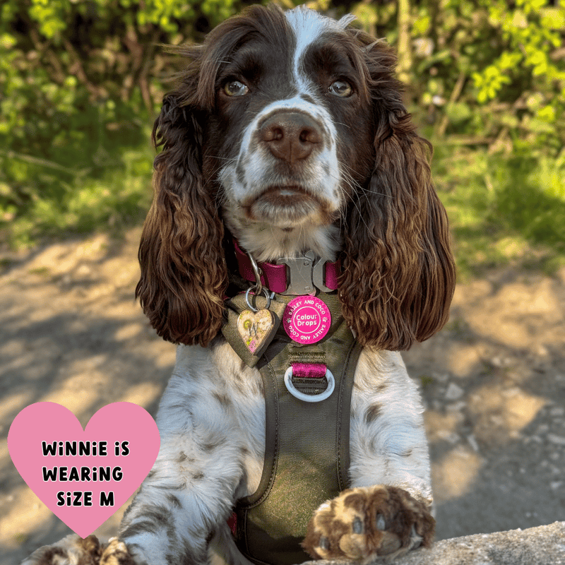 Trail & Glow Dog Harness - COLOUR DROPS® - Hot Khaki - Bailey and Coco (UK)