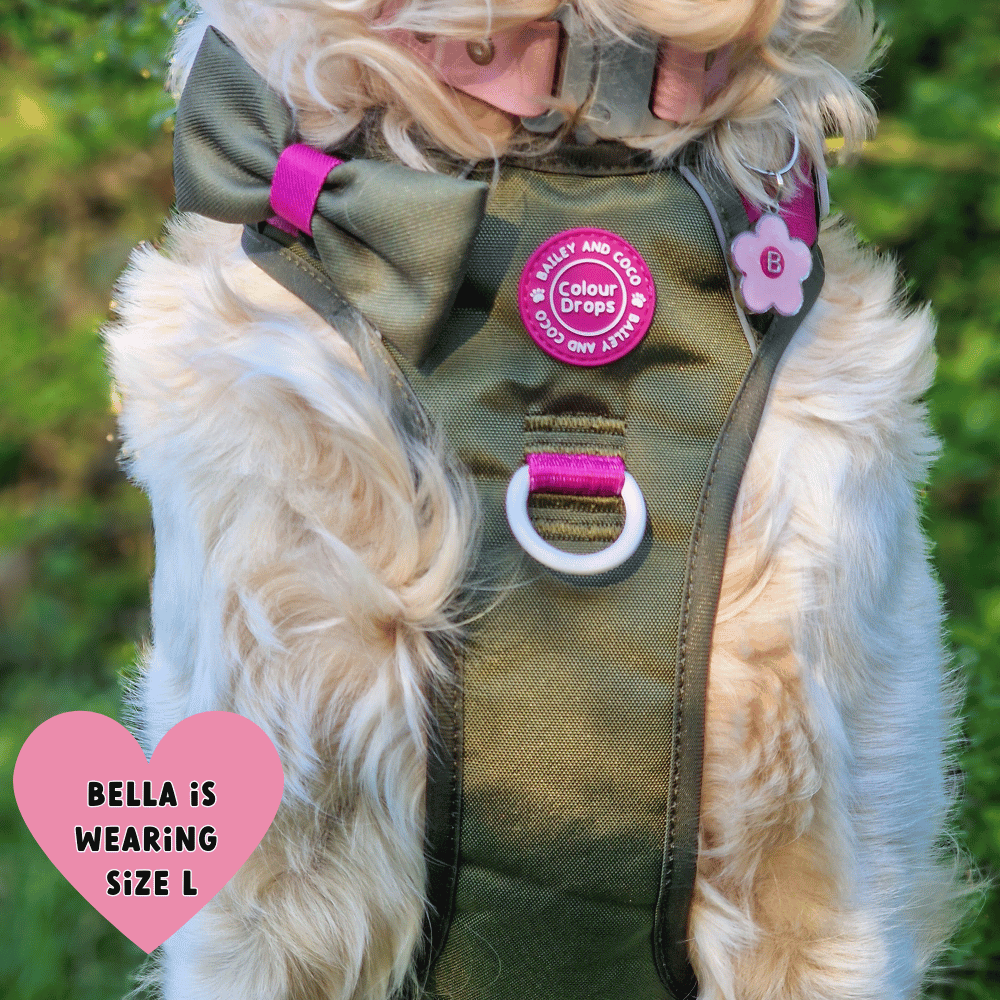 Trail & Glow Dog Harness - COLOUR DROPS® - Hot Khaki - Bailey and Coco (UK)