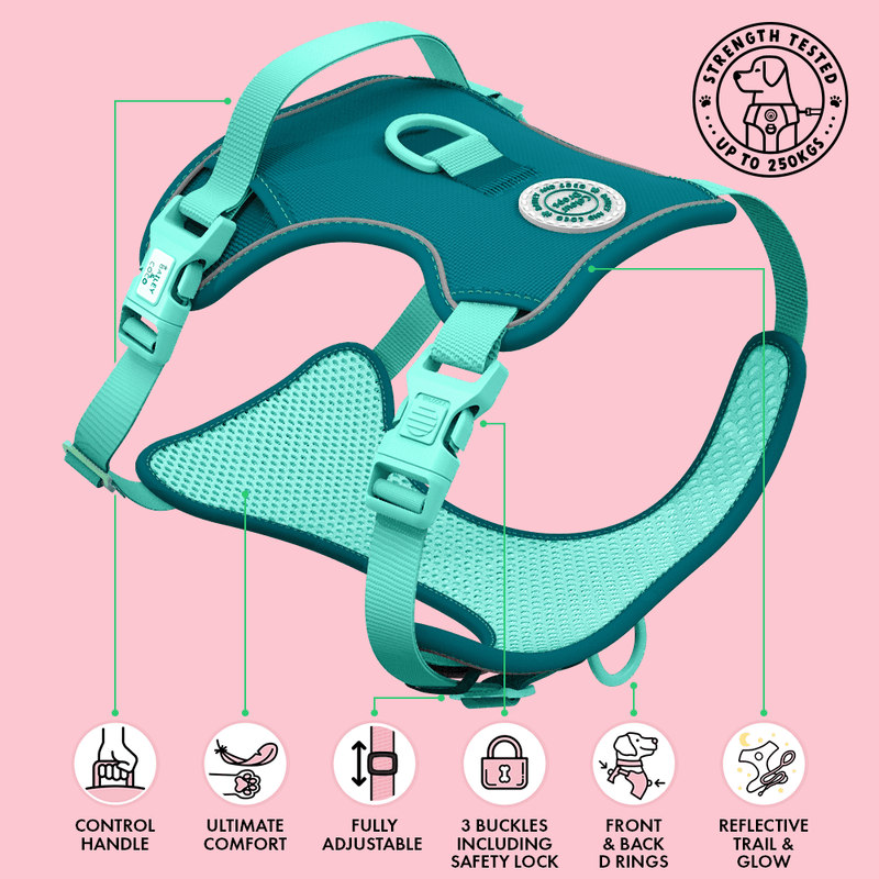 Trail & Glow Dog Harness - COLOUR DROPS® - Ice Teal - Bailey and Coco (UK)