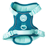 Trail & Glow Dog Harness - COLOUR DROPS® - Ice Teal - Bailey and Coco (UK)