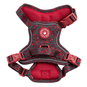 Trail & Glow Dog Harness - Colour Drops - Jingle Berry