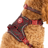 Trail & Glow Dog Harness - Colour Drops - Jingle Berry - Bailey and Coco (UK)