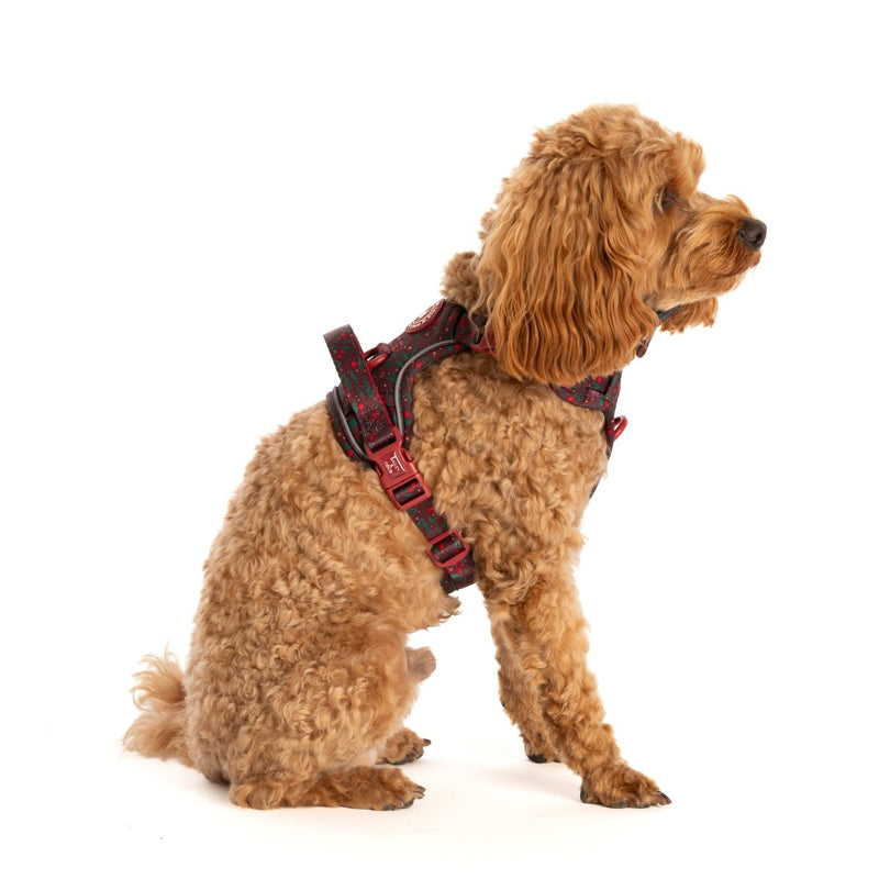 Trail & Glow Dog Harness - Colour Drops - Jingle Berry - Bailey and Coco (UK)