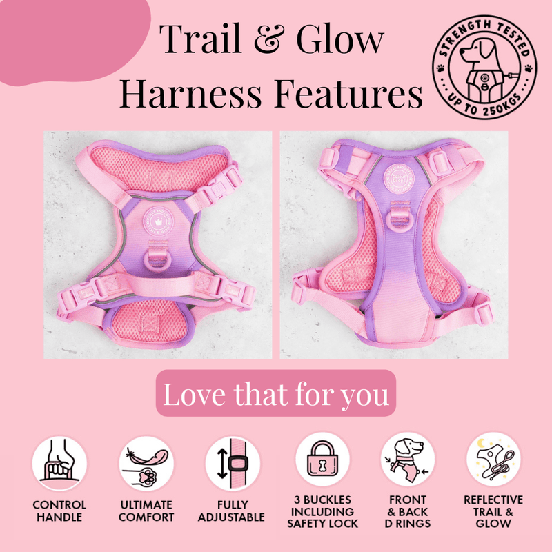 Trail & Glow Dog Harness - COLOUR DROPS® - Love that for you - Bailey and Coco (UK)