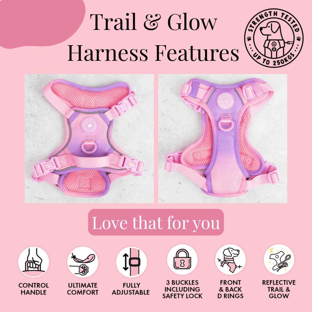 Trail & Glow Dog Harness - COLOUR DROPS® - Love that for you - Bailey and Coco (UK)