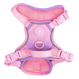 Trail & Glow Dog Harness - COLOUR DROPS® - Love that for you - Bailey and Coco (UK)