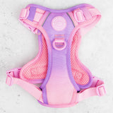 Trail & Glow Dog Harness - COLOUR DROPS® - Love that for you - Bailey and Coco (UK)