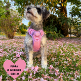 Trail & Glow Dog Harness - COLOUR DROPS® - Love that for you - Bailey and Coco (UK)