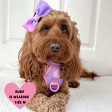 Trail & Glow Dog Harness - COLOUR DROPS® - Love that for you - Bailey and Coco (UK)