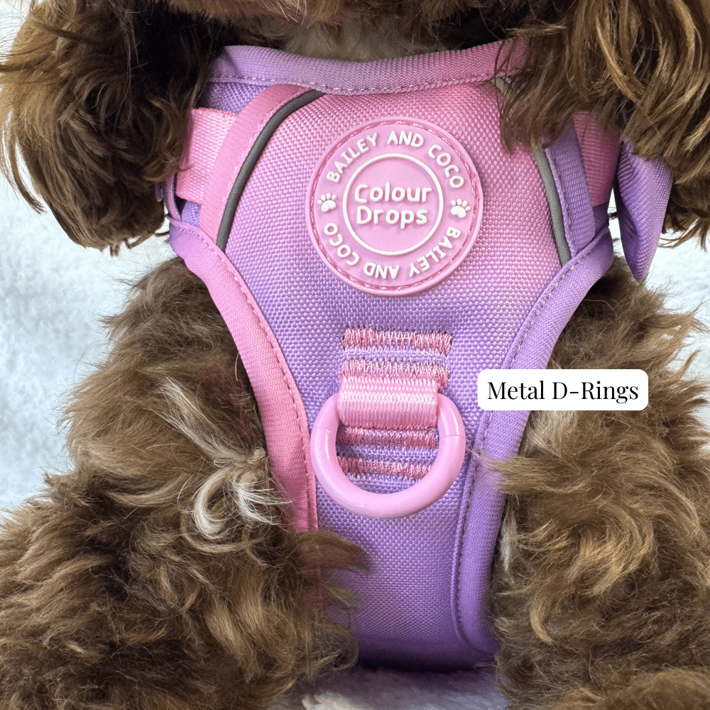 Trail & Glow Dog Harness - COLOUR DROPS® - Love that for you - Bailey and Coco (UK)