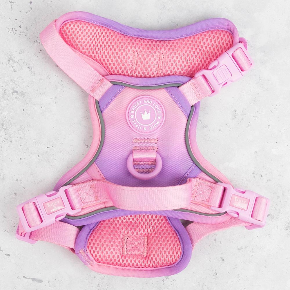 Trail & Glow Dog Harness - COLOUR DROPS® - Love that for you - Bailey and Coco (UK)