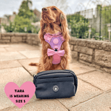 Trail & Glow Dog Harness - COLOUR DROPS® - Love that for you - Bailey and Coco (UK)