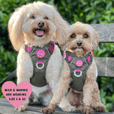 Trail & Glow Dog Harness - COLOUR DROPS® - Olive it Hot - Bailey and Coco (UK)