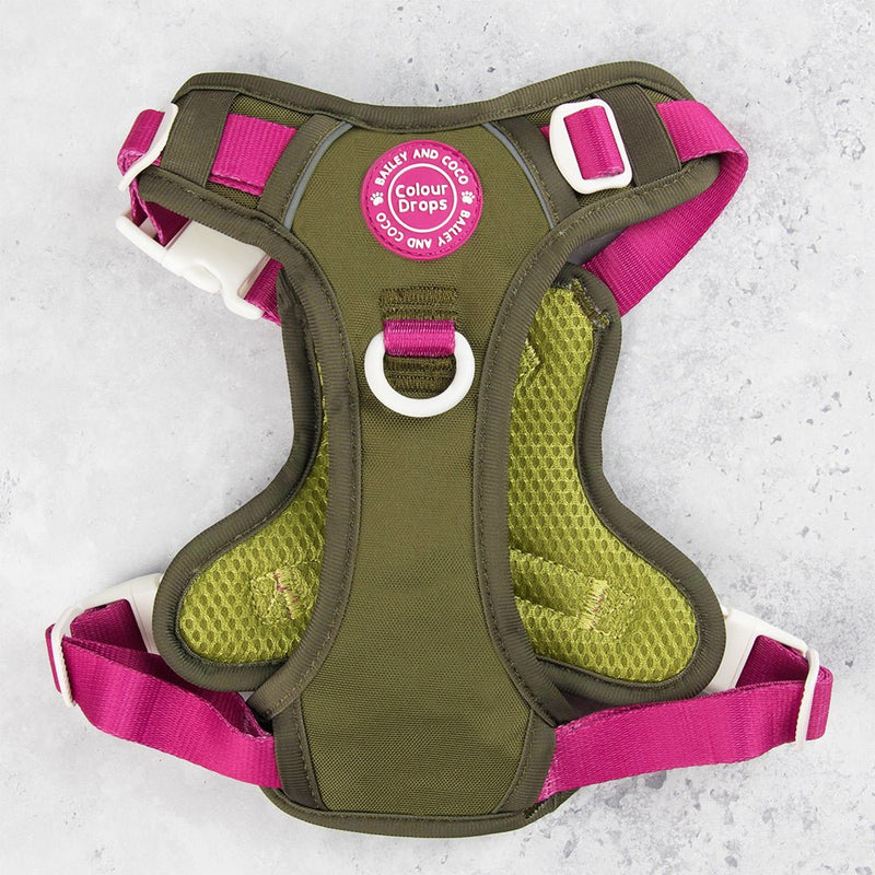 Trail & Glow Dog Harness - COLOUR DROPS® - Olive it Hot - Bailey and Coco (UK)