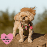 Trail & Glow Dog Harness - COLOUR DROPS® - Olive it Hot - Bailey and Coco (UK)