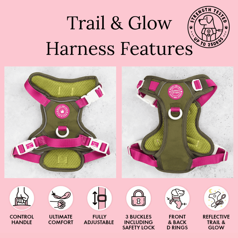 Trail & Glow Dog Harness - COLOUR DROPS® - Olive it Hot - Bailey and Coco (UK)