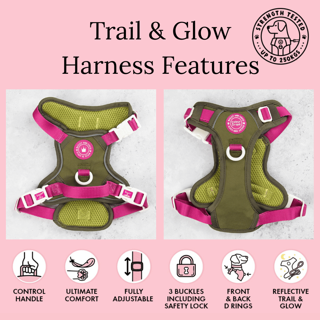 Trail & Glow Dog Harness - COLOUR DROPS® - Olive it Hot - Bailey and Coco (UK)