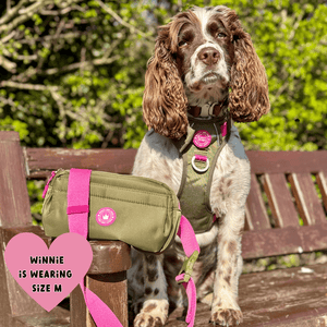 Trail & Glow Dog Harness - COLOUR DROPS® - Olive it Hot - Bailey and Coco (UK)