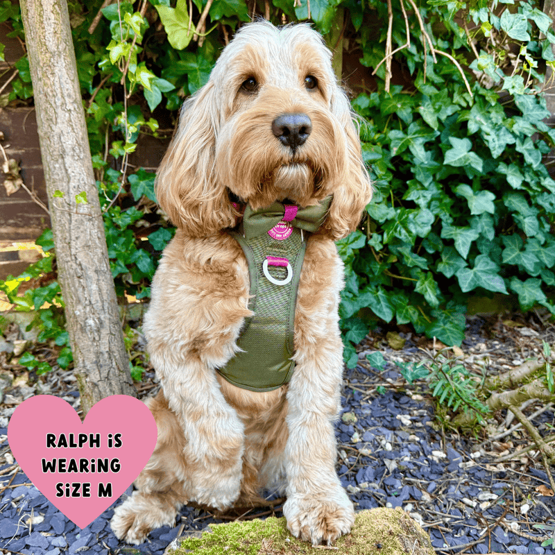 Trail & Glow Dog Harness - COLOUR DROPS® - Olive it Hot - Bailey and Coco (UK)