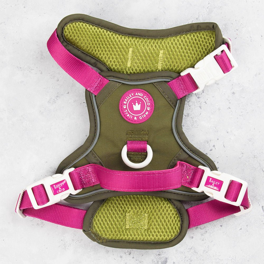 Trail & Glow Dog Harness - COLOUR DROPS® - Olive it Hot - Bailey and Coco (UK)