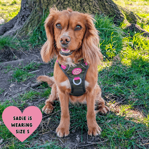 Trail & Glow Dog Harness - COLOUR DROPS® - Olive it Hot - Bailey and Coco (UK)