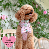 Trail & Glow Dog Harness - COLOUR DROPS® - Pick Me - Bailey and Coco (UK)