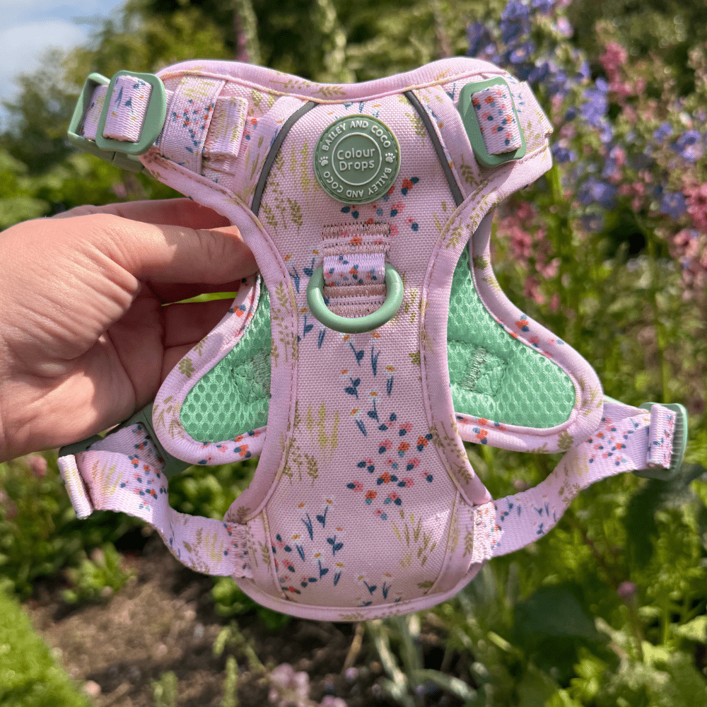 Trail & Glow Dog Harness - COLOUR DROPS® - Pick Me - Bailey and Coco (UK)
