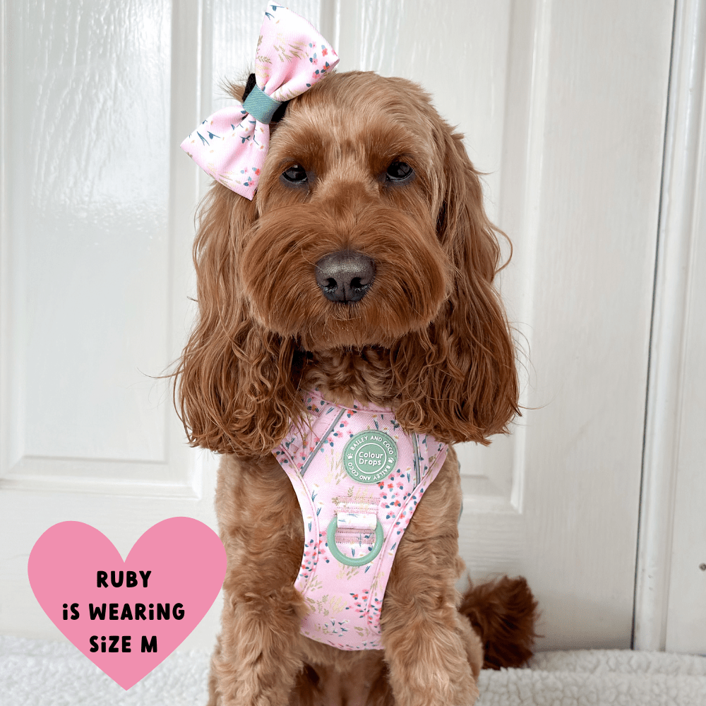 Trail & Glow Dog Harness - COLOUR DROPS® - Pick Me - Bailey and Coco (UK)