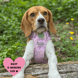 Trail & Glow Dog Harness - COLOUR DROPS® - Pick Me - Bailey and Coco (UK)