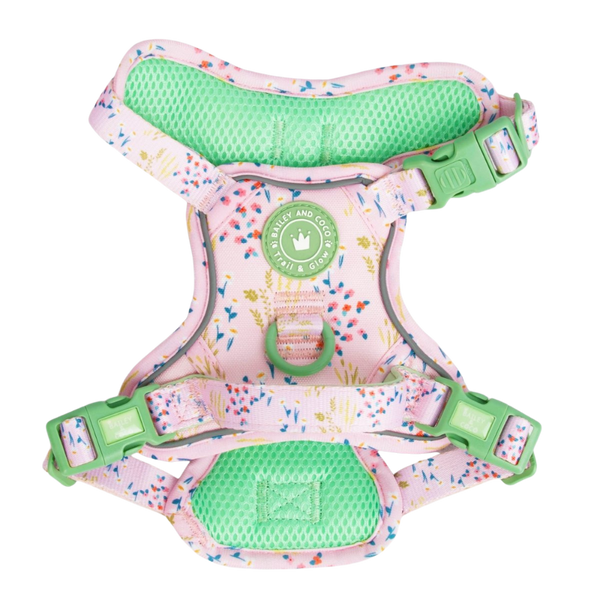 Trail & Glow Dog Harness - COLOUR DROPS® - Pick Me - Bailey and Coco (UK)