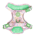 Trail & Glow Dog Harness - COLOUR DROPS® - Pick Me