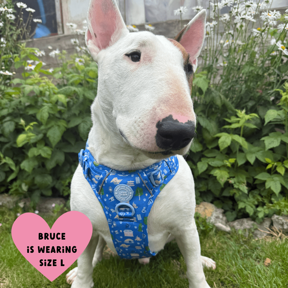 Trail & Glow Dog Harness - COLOUR DROPS® - Pitch, Please - Bailey and Coco (UK)