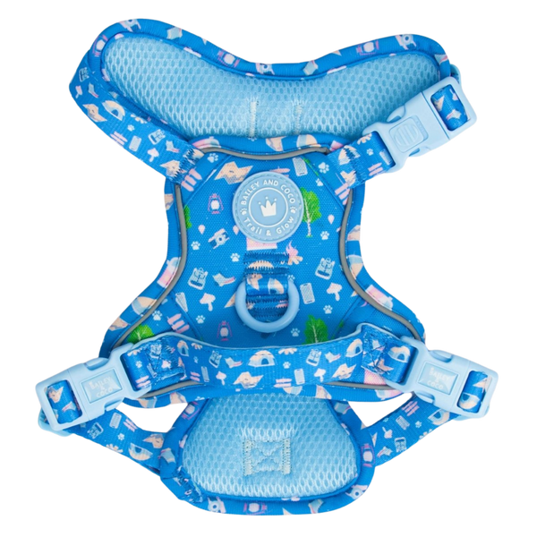 Trail & Glow Dog Harness - COLOUR DROPS® - Pitch, Please - Bailey and Coco (UK)