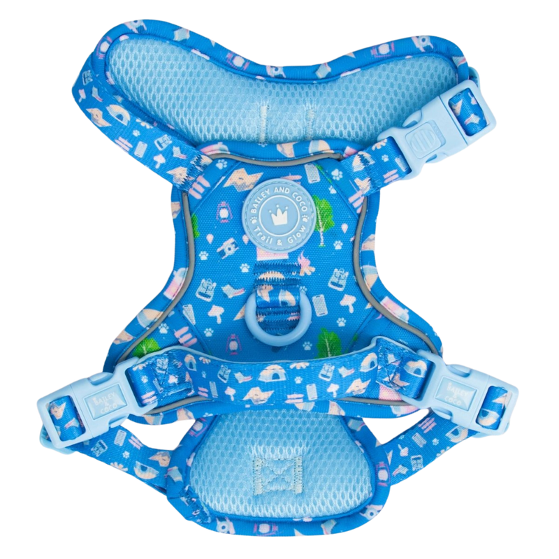 Trail & Glow Dog Harness - COLOUR DROPS® - Pitch, Please - Bailey and Coco (UK)