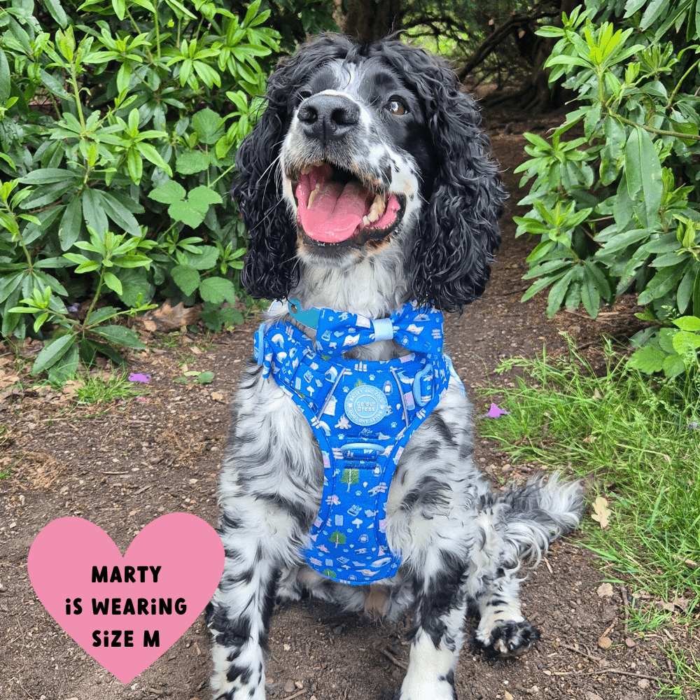Trail & Glow Dog Harness - COLOUR DROPS® - Pitch, Please - Bailey and Coco (UK)