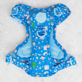 Trail & Glow Dog Harness - COLOUR DROPS® - Pitch, Please - Bailey and Coco (UK)